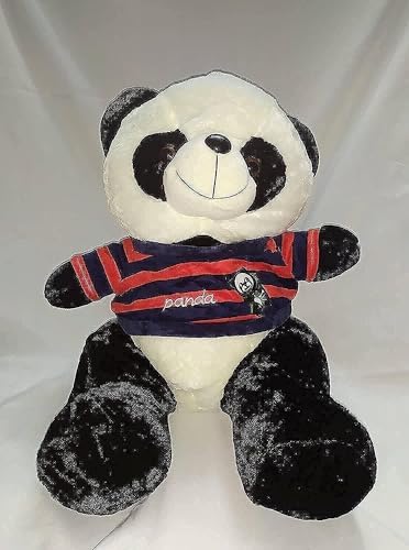 41fw3VyPE4L._SL500_._AC_SL500_