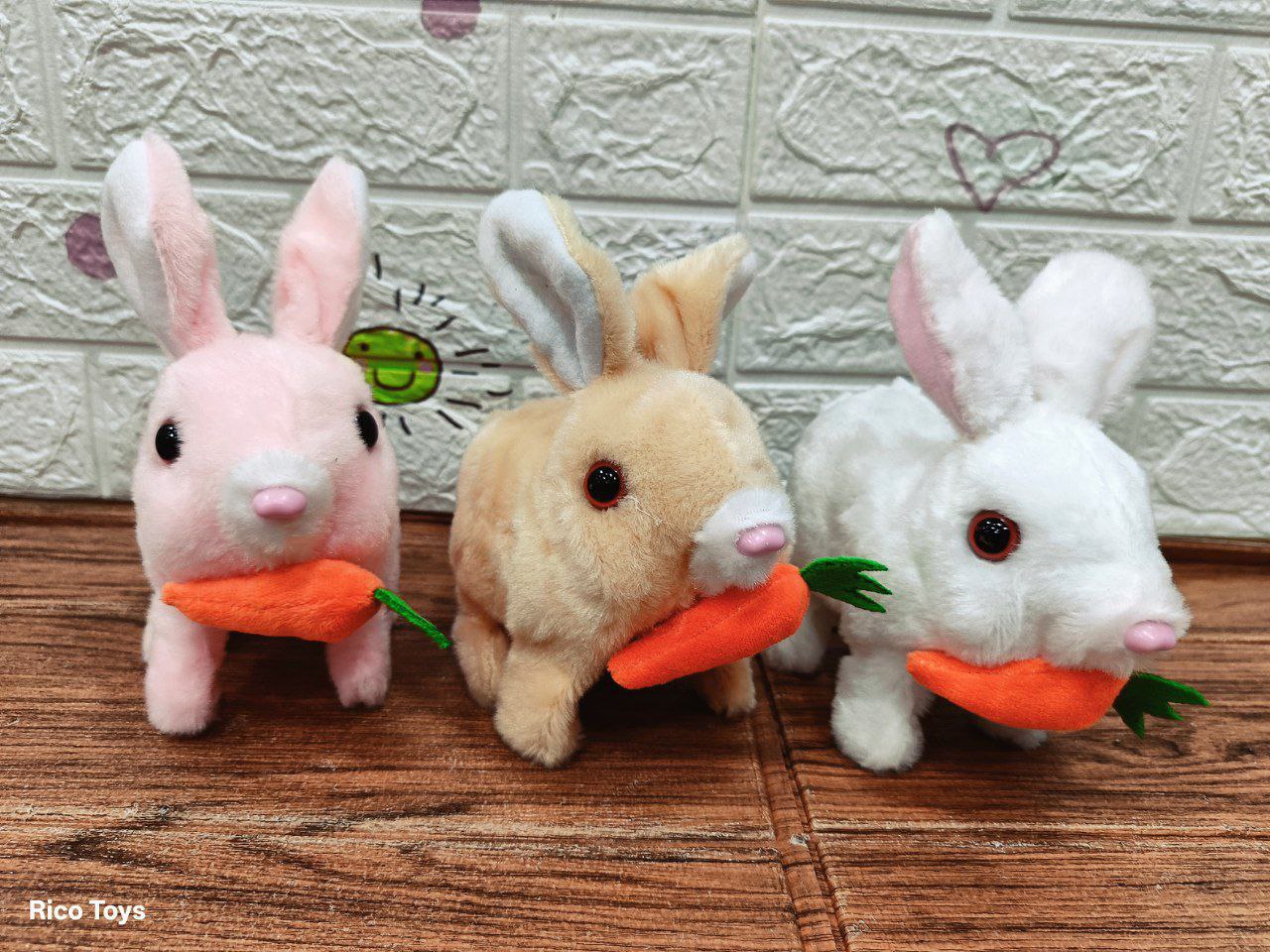 ارنب فرو سمسم