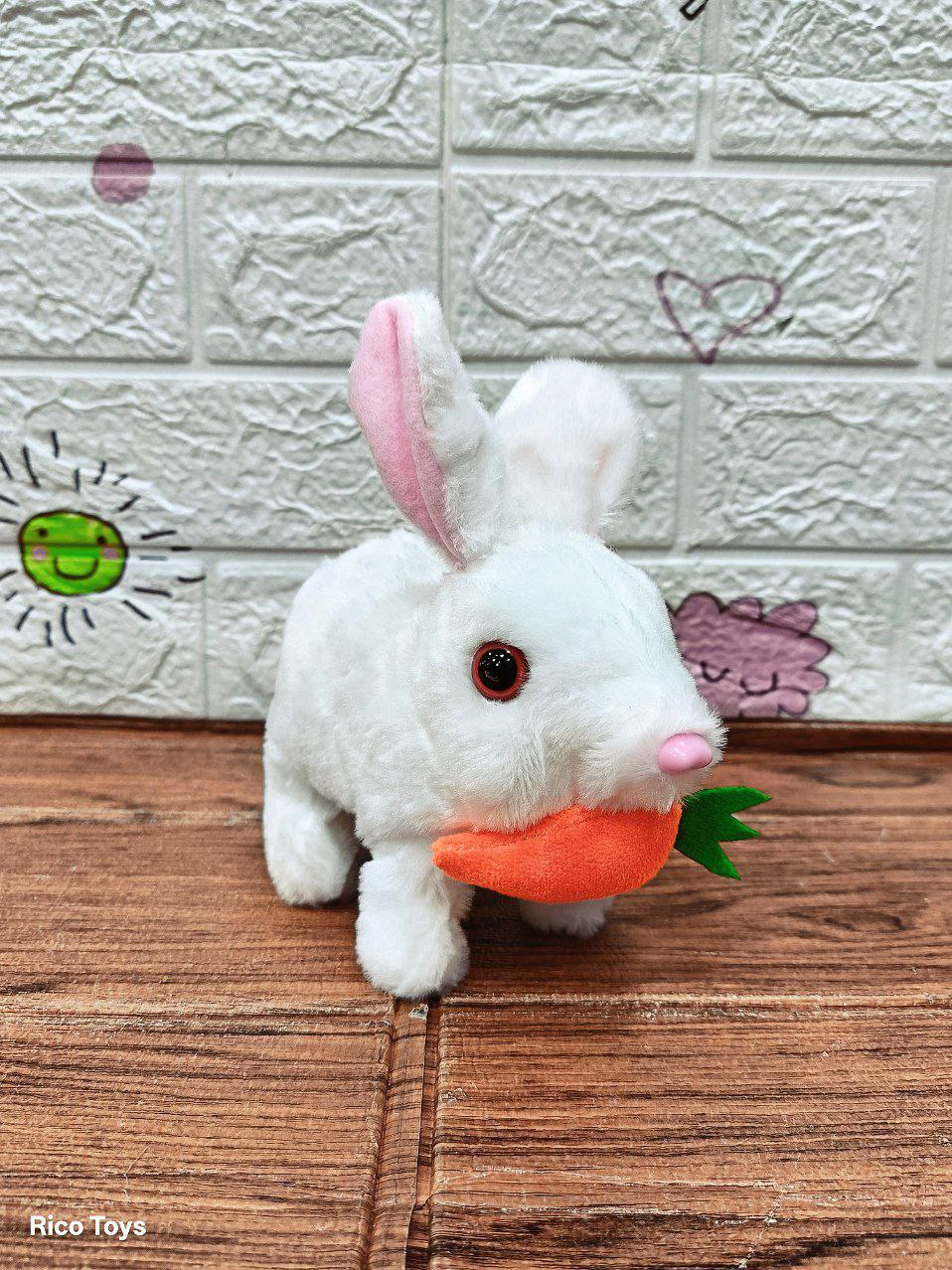 photo_2025-11-23_15-13-45