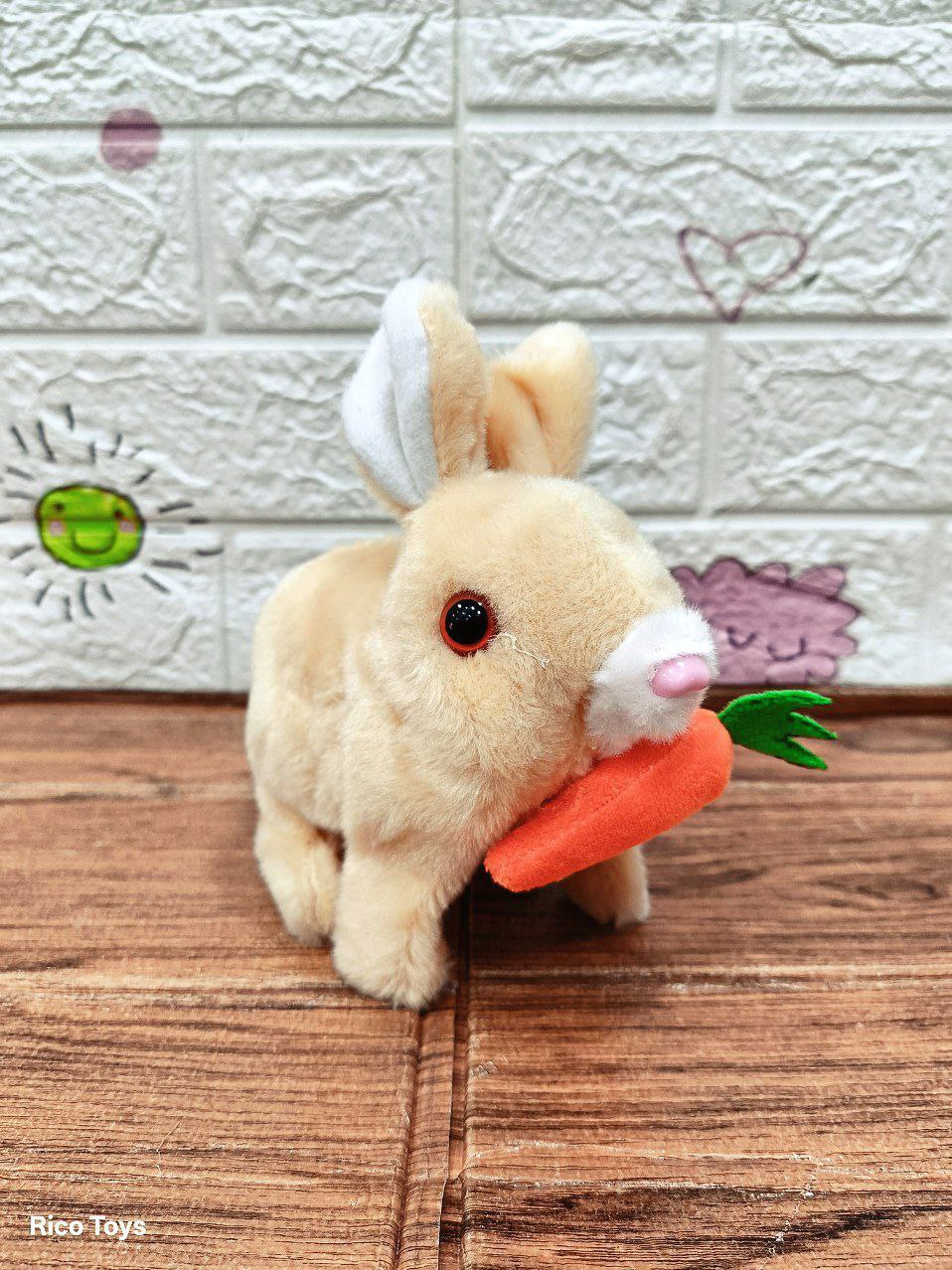 ارنب فرو سمسم - الصورة 3