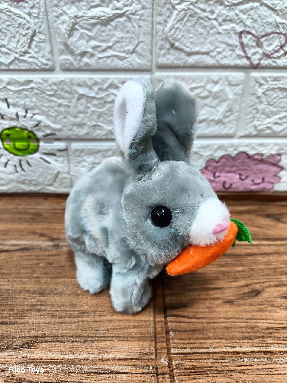 ارنب فرو سمسم - الصورة 4