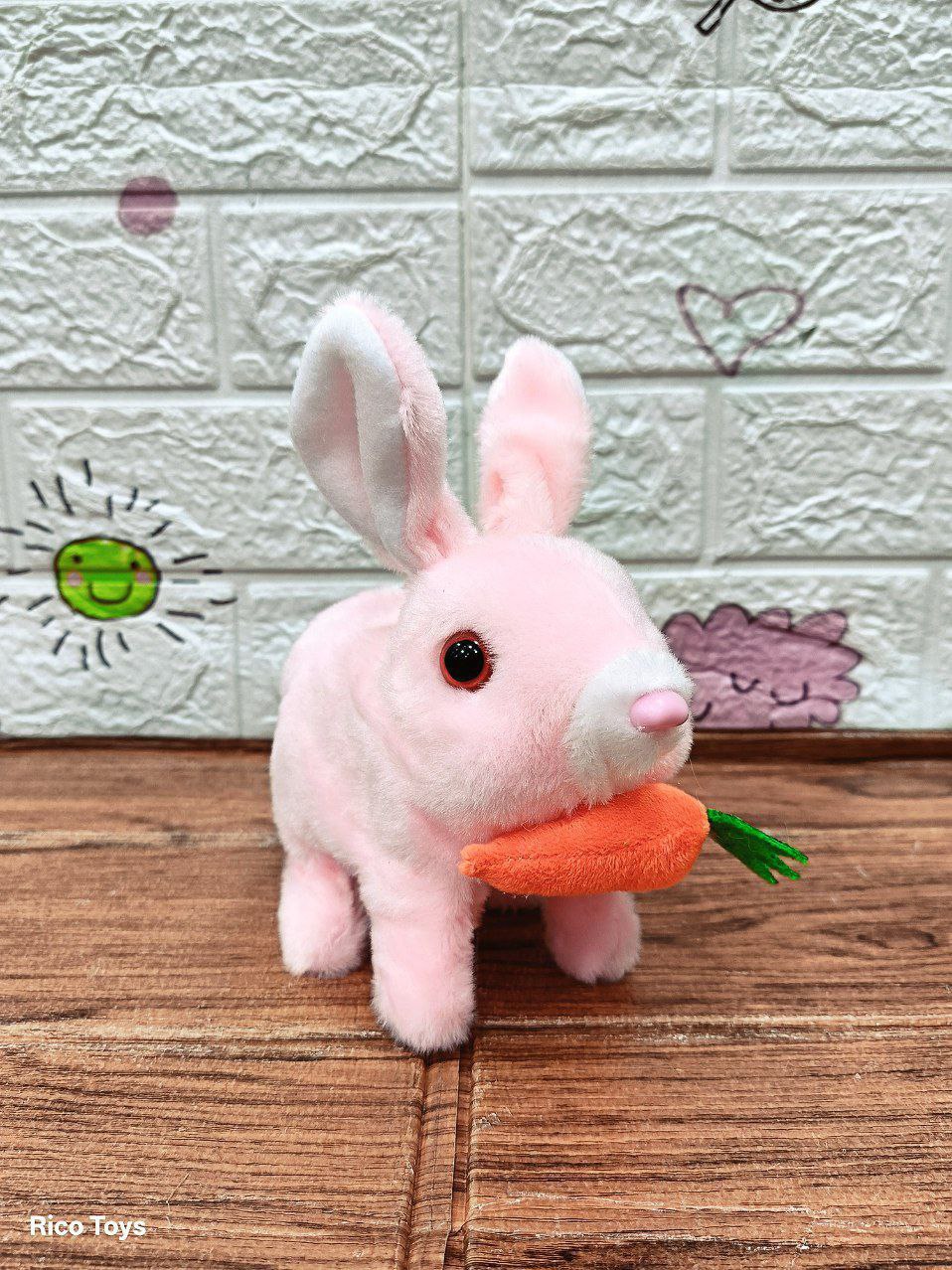 ارنب فرو سمسم - الصورة 5