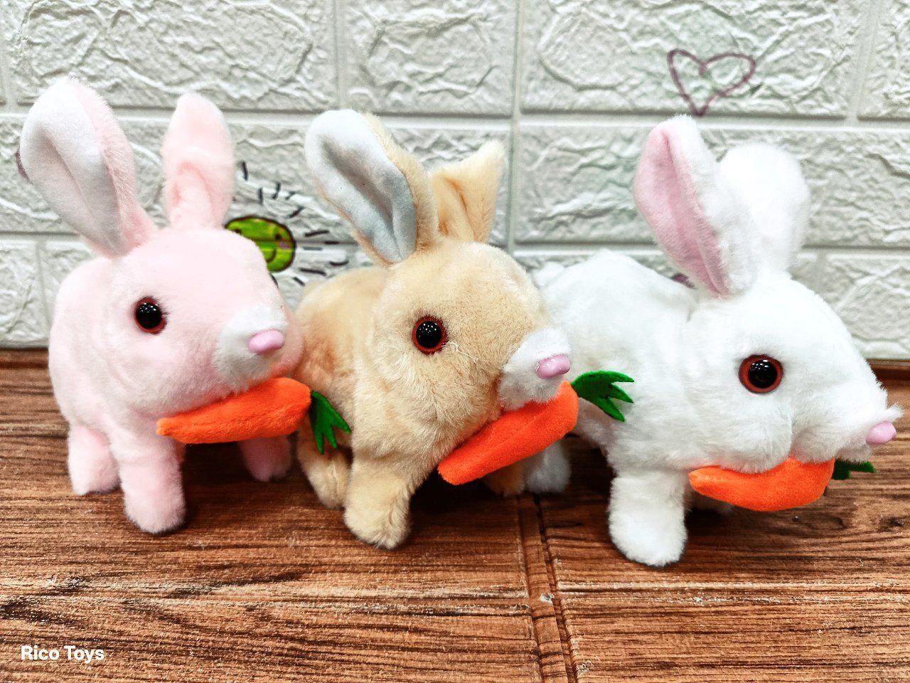 ارنب فرو سمسم - الصورة 6