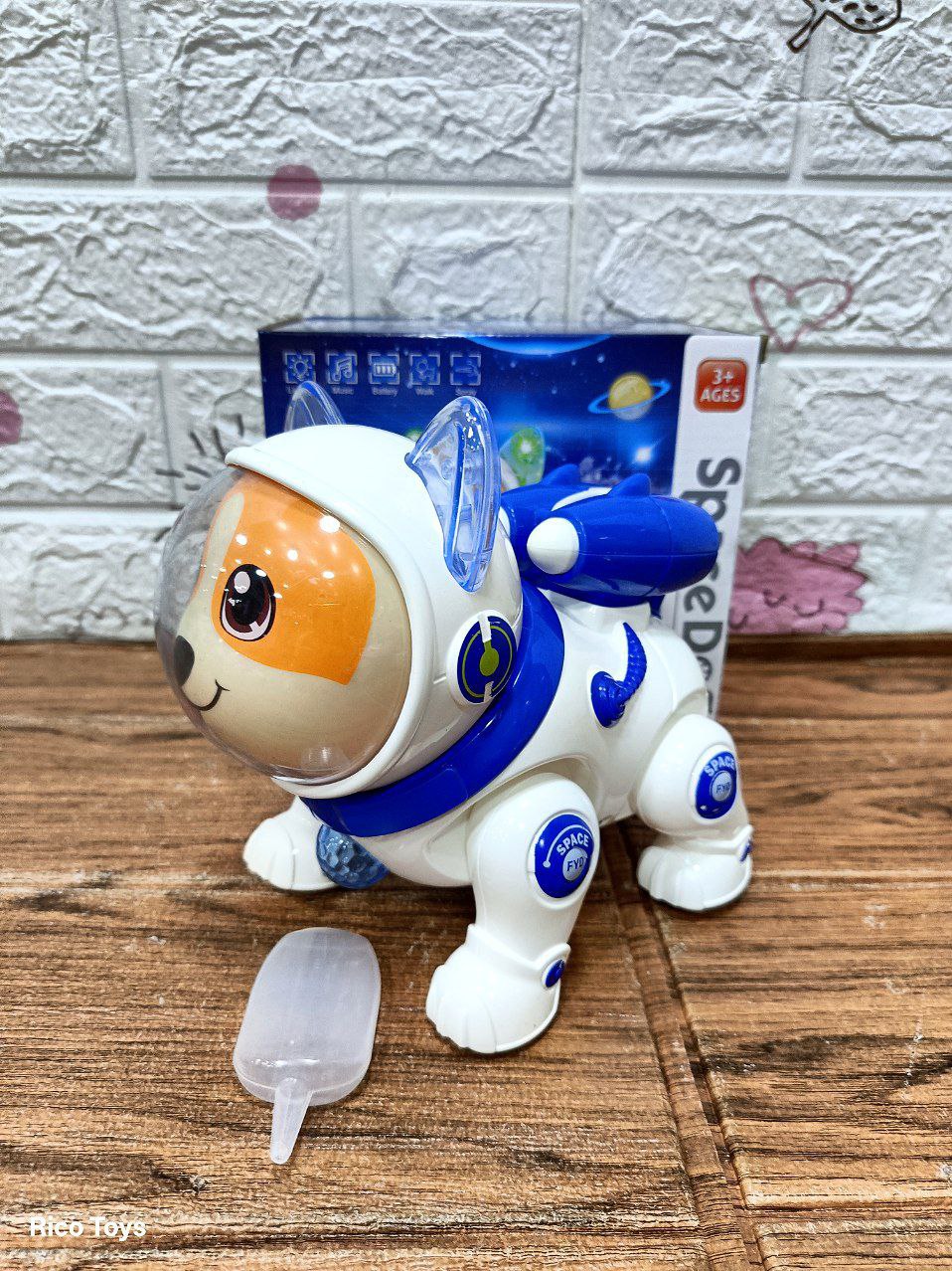 photo_2025-07-12_01-22-52 (2)