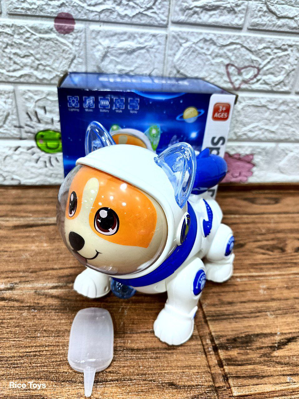 كلب فضاء دخان