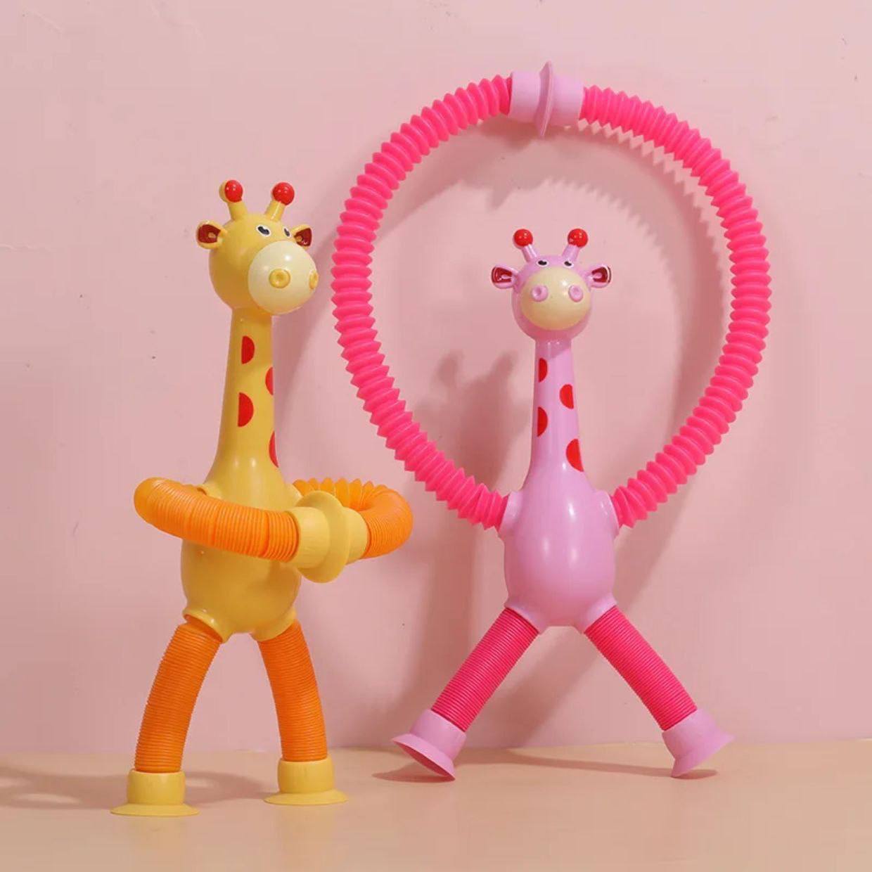 photo_2025-07-25_02-12-14