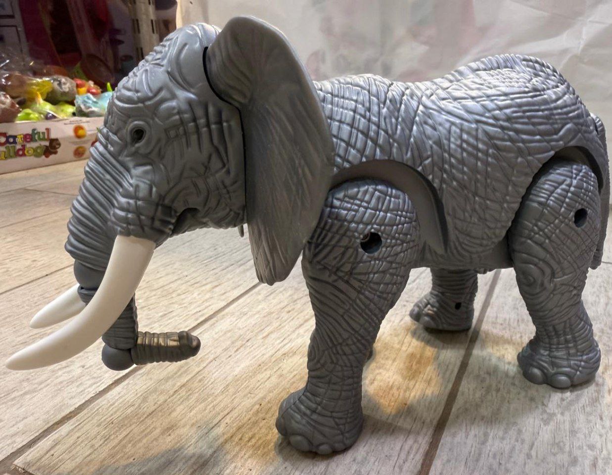 photo_2025-12-09_18-37-52