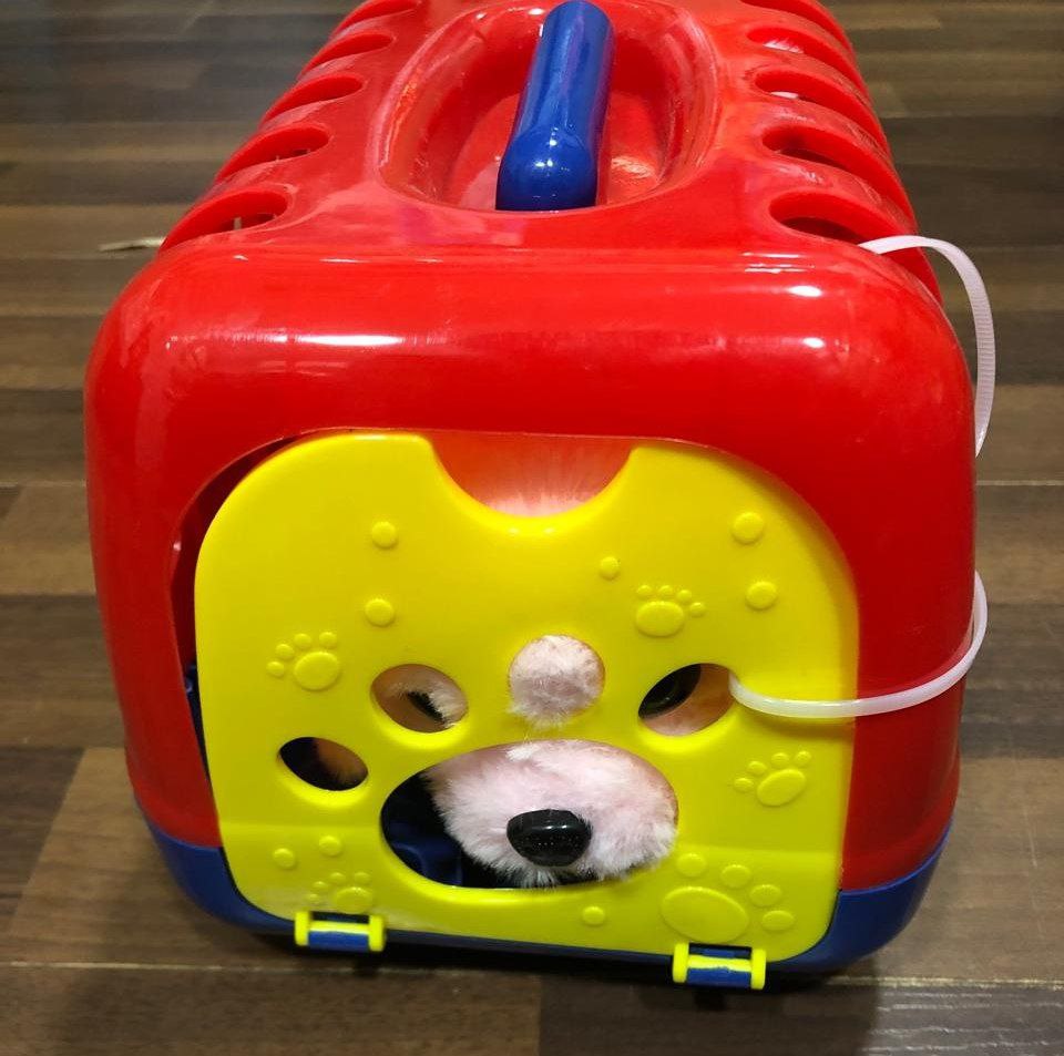 كلب متحرك بوكس 3688 - الصورة 3