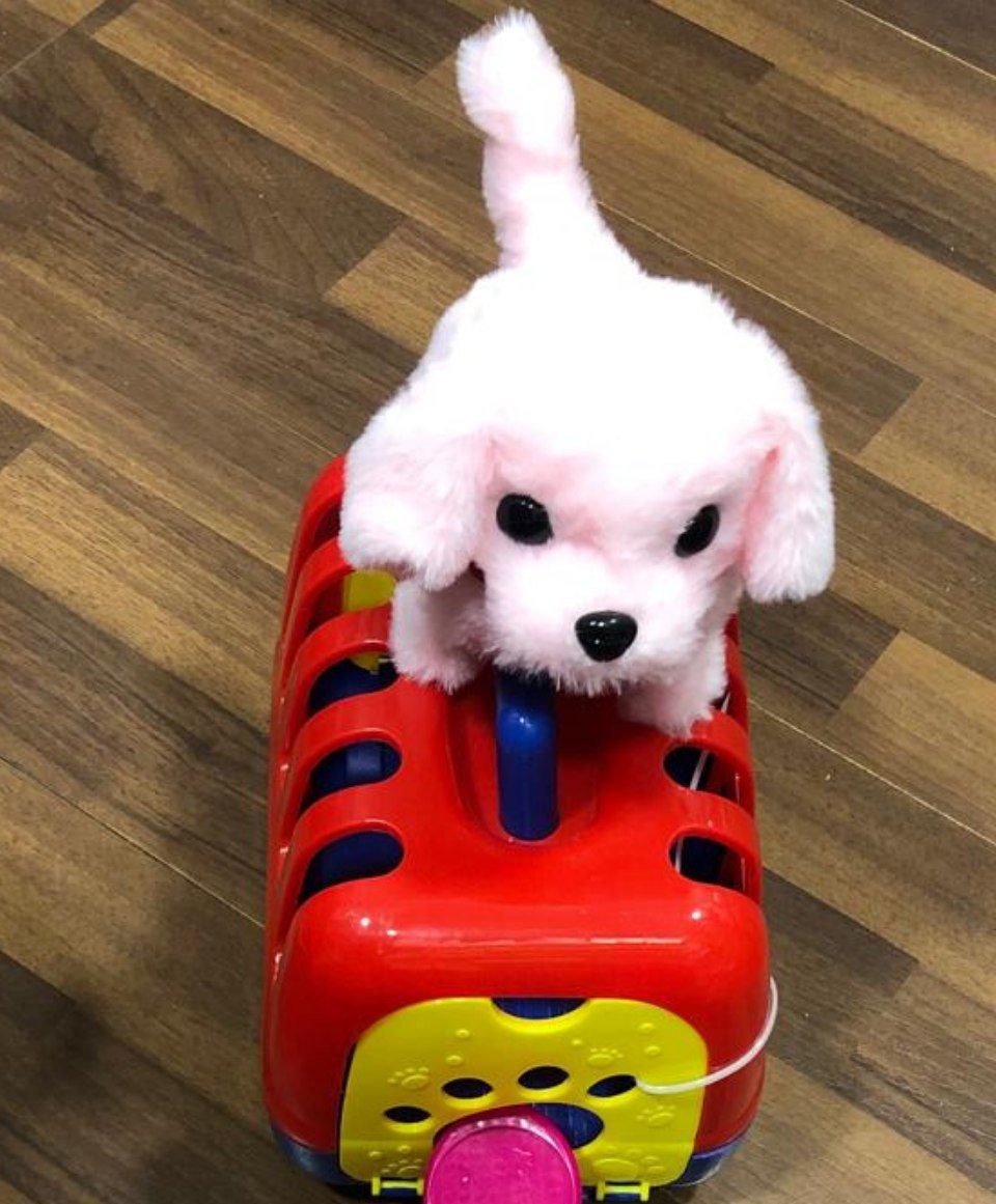 كلب متحرك بوكس 3688 - الصورة 4