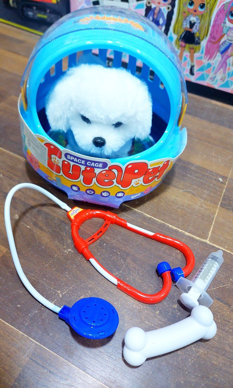 كلب بوكس 799 - الصورة 3