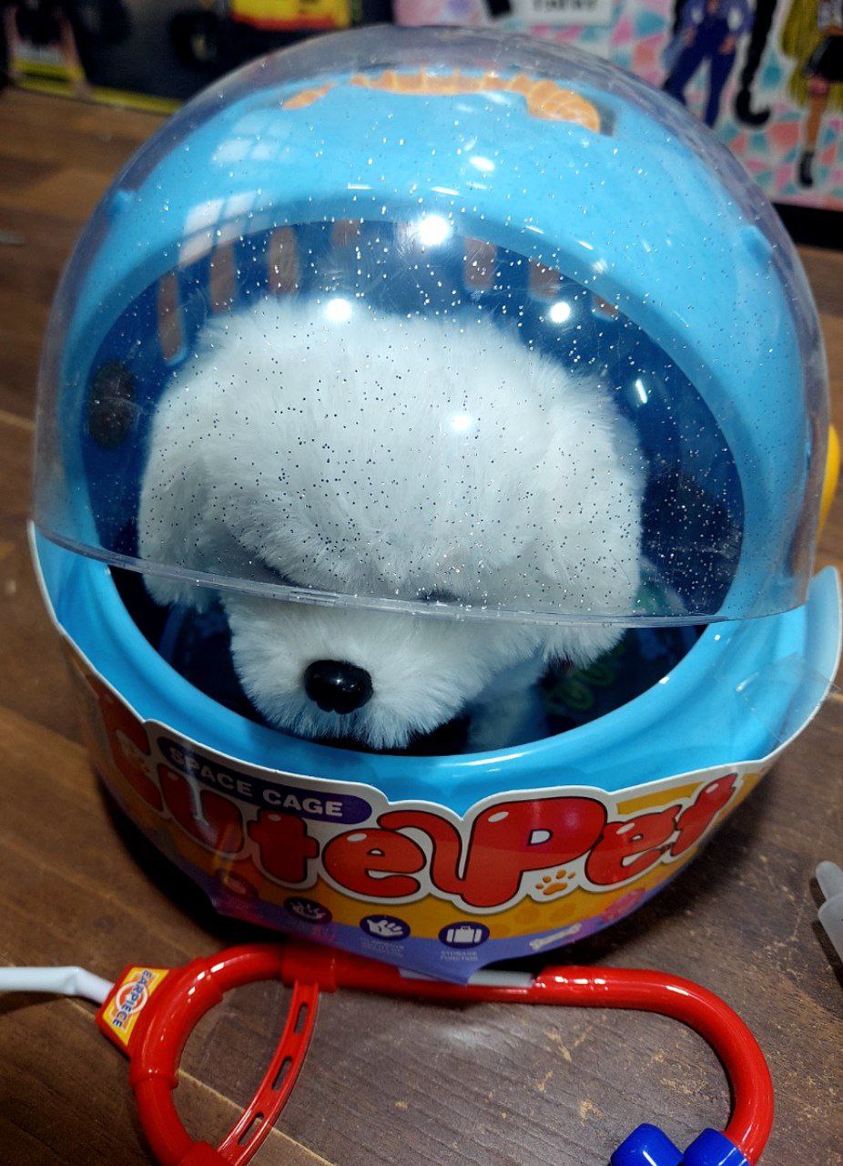 كلب بوكس 799 - الصورة 5