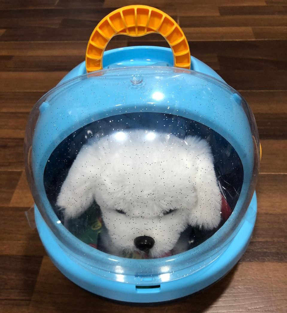 كلب بوكس 799 - الصورة 7