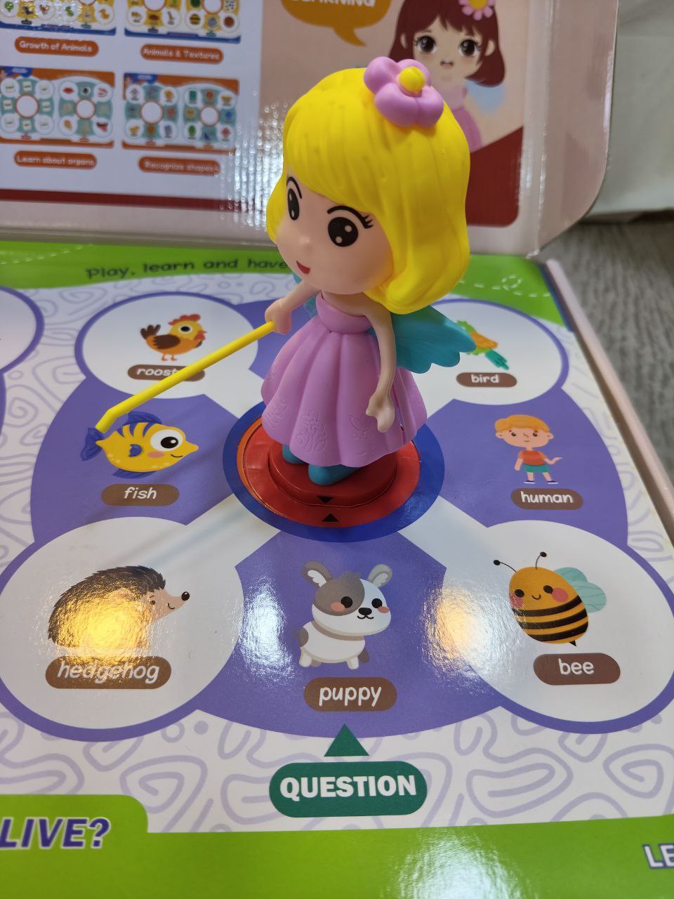 ماجيك تيتشر 2026 - الصورة 7