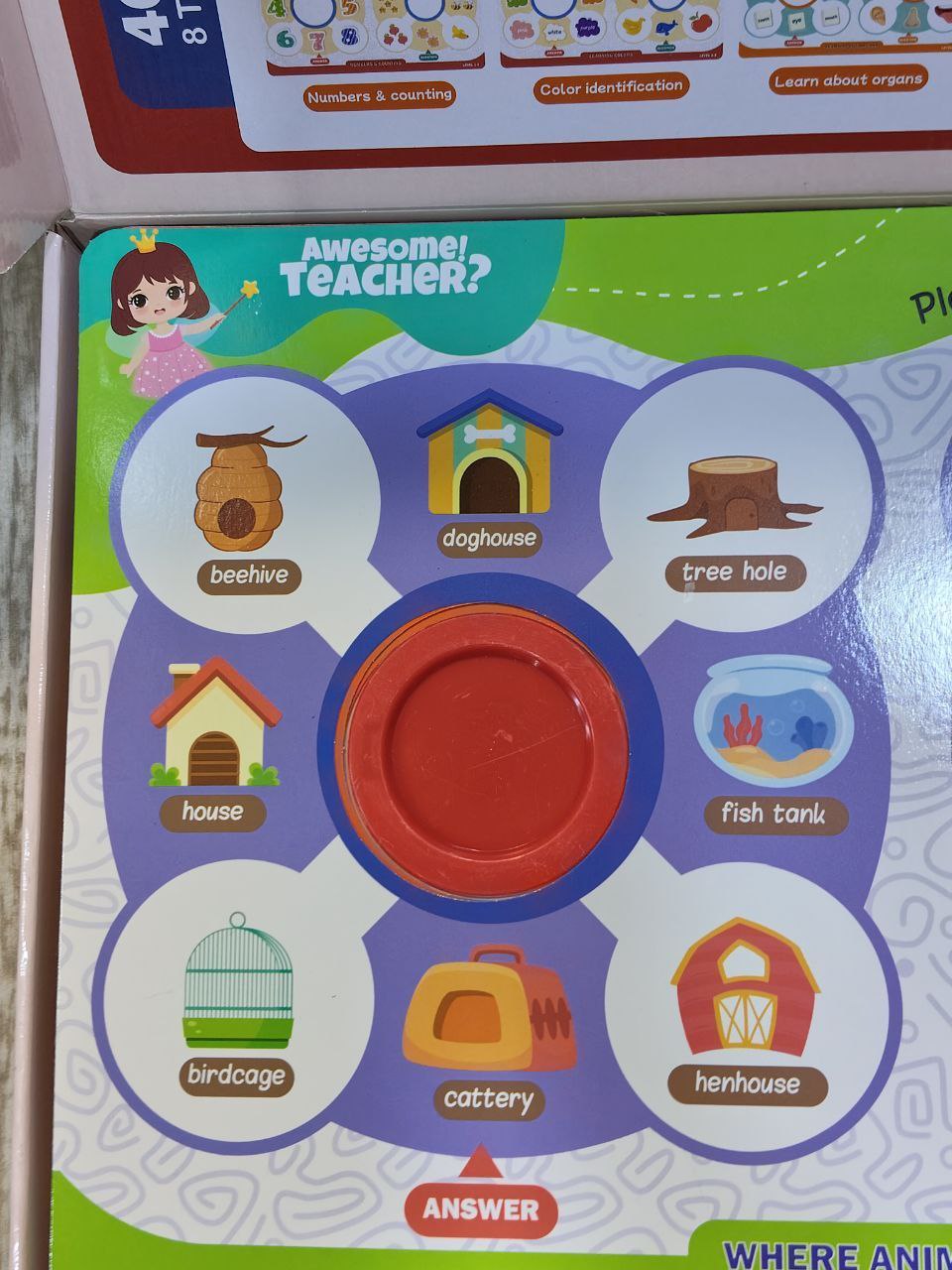 ماجيك تيتشر 2026 - الصورة 3