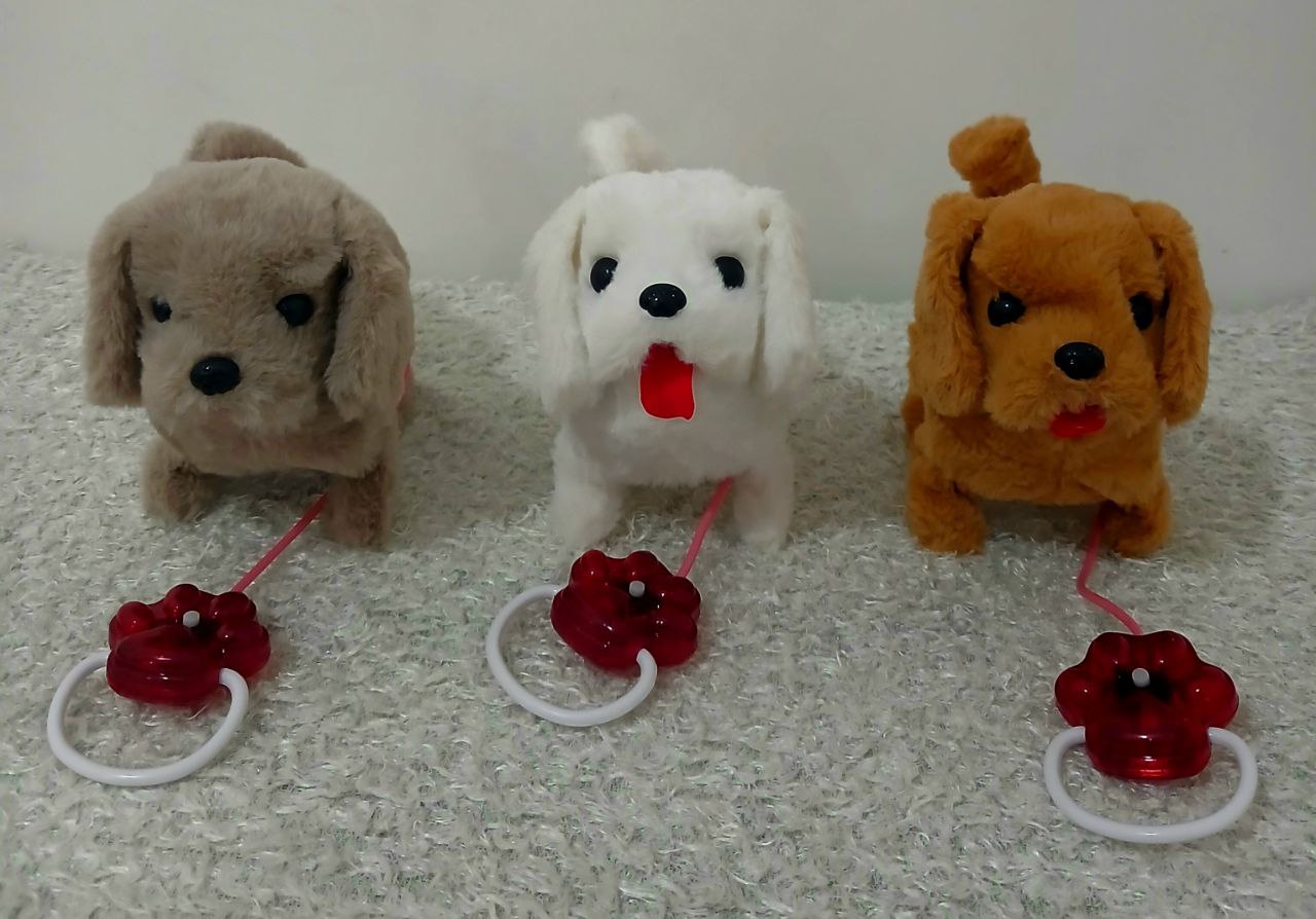 photo_2026-01-15_17-18-53